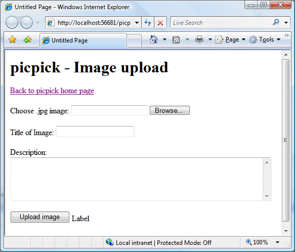 Screen shot of basic file upload form