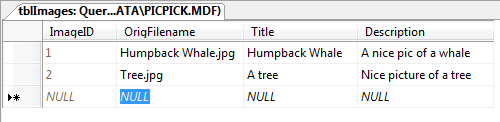 Sample data in tblImages after two file uploads