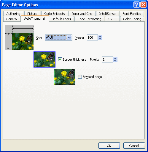 Page Editor Options Auto Thumbnail tab